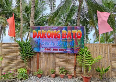 Dakong Bato Resort A Humble Pebble Beach In Leyte You Should Visit