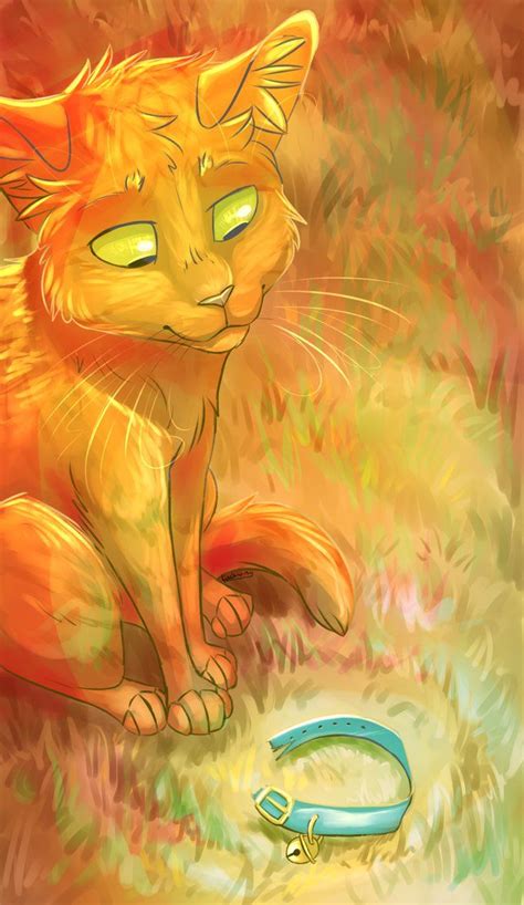 Welcome to the unofficial warrior cat fan art page! 60 best warrior cat oc drawing contest images on Pinterest | Warrior cats, Cat oc and Cat boarding