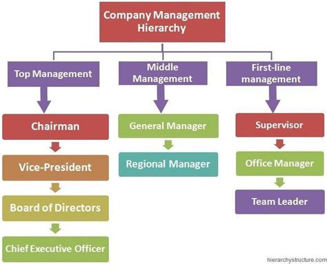 Which Among The Three Levels Of Management Hierarchy Do You Think