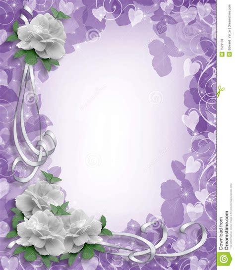 Lavender Border Image And Illustration Composition White Roses On