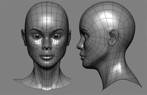 Face Topology Topology 3d Face Model