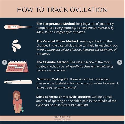the science behind ovulation and how to track your ovulation cycle