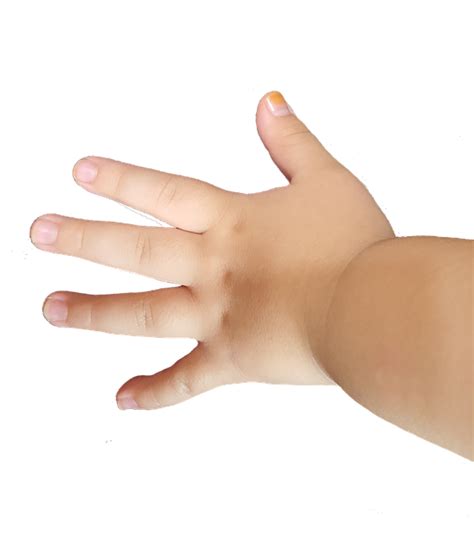 Aeson Childhand Baby Hand Free Photo On Pixabay Pixabay
