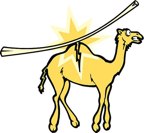 straw camel back illustrations royalty free vector graphics and clip art istock