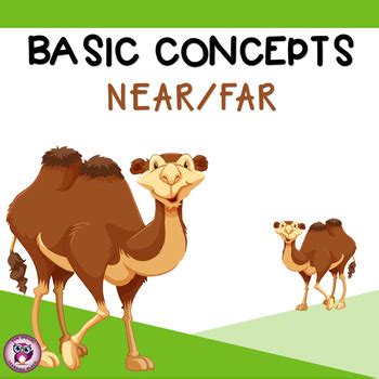 Basic Concepts {Near and Far} by Our Special Learning Place | TpT