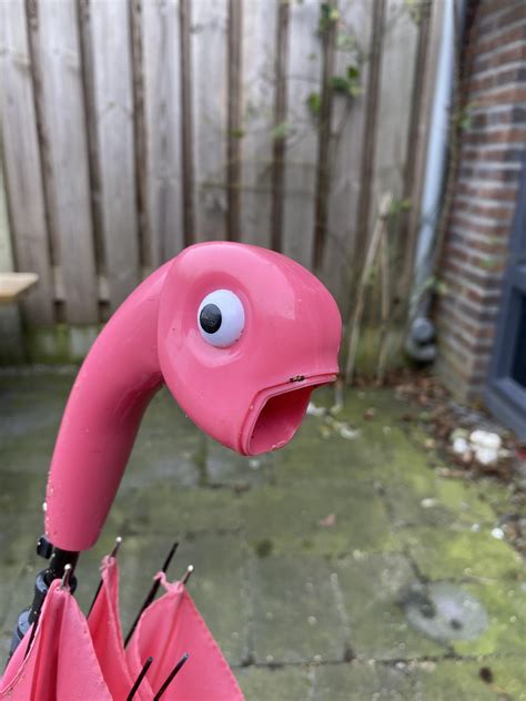 This Broken Flamingo Umbrella Lost Its Beak And Turned Into A Shocked Fish