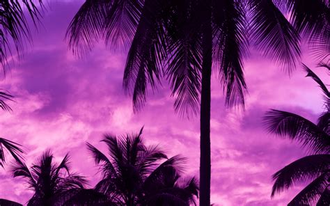 Purple Macbook Wallpapers Top Free Purple Macbook Backgrounds