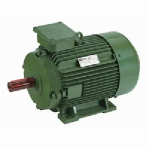 1 50 Kw 10 Hp Single Phase Electric Motor 1500 Rpm At Rs 24662 In Delhi
