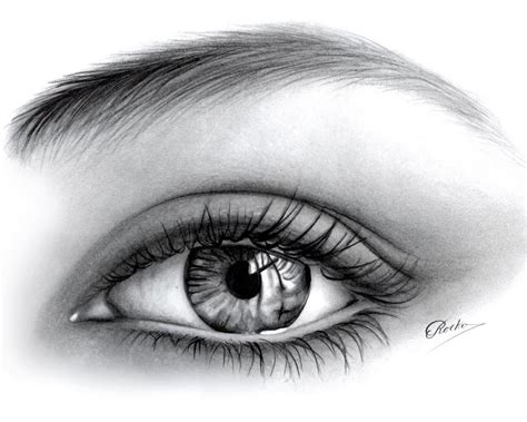 Sketchbook Como Dibujar Ojos Humanos