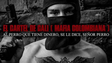 El Cartel De Cali Mafia Colombiana 2021 La Verdad Sobre Los Capos
