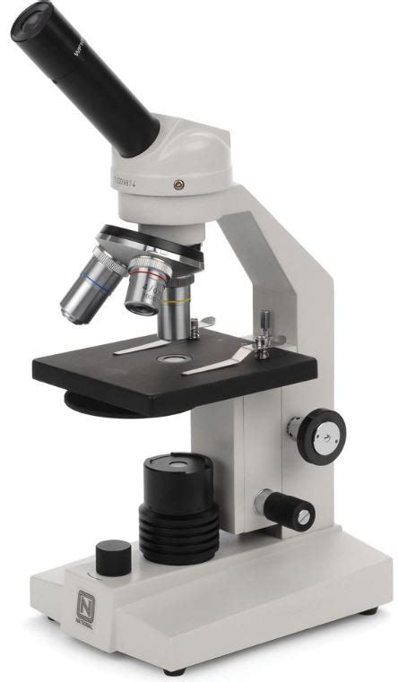 Pengertian Mikroskop Jenis Sejarah Macam Fungsinya Fappin