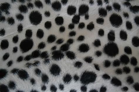 Trendy Cheetah Print Wallpaper