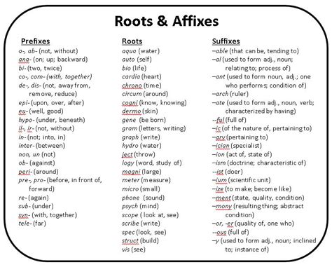 Q4 Vocabulary Project Understanding Literature