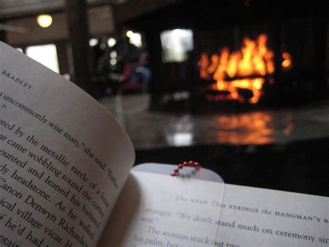 They ignore the reality that a new version of the same old problem will be waiting at the end of the trip—the relative you cringe to kiss. Reading by the fire | Selena N. B. H. | Flickr