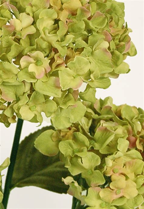 Hydrangeas Green 3 Silk Flowers Artificial Arrangements Pene Dene
