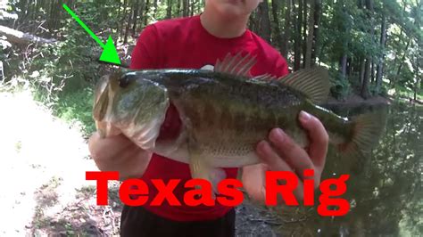 Bass Fishing With A Texas Rig Youtube