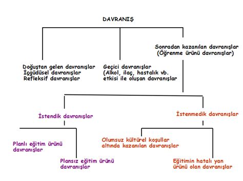 Öğrenme Kuramları