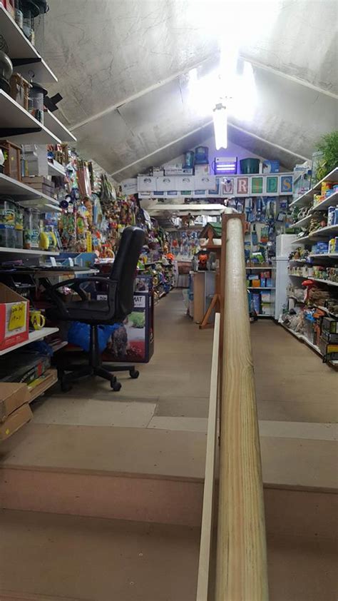 At petsmart, we never sell dogs or cats. About Us - Shanklin Pet Stores Isle of Wight