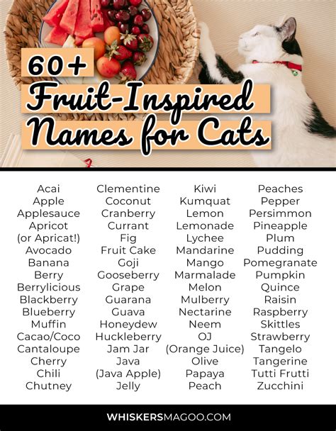 60 Sweet Fruit Names For Cats Whiskers Magoo