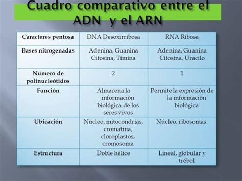 cuadro comparativo donde se resalten 6 características de ADN y ARN