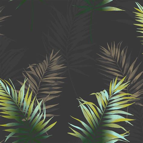 Palm Leaves Wallpapers Wallpaper Cave