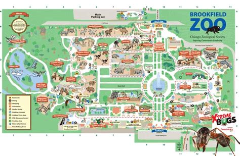 Chicago Zoological Society Zoo Map Brookfield Zoo