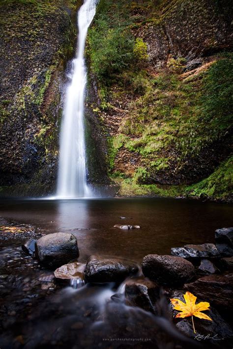 Pacific Northwest And The West Coast Horsetail Falls Oregon Oregon