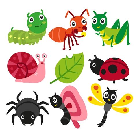 Bugs Collection Insect Vector Design Vector Premium Download