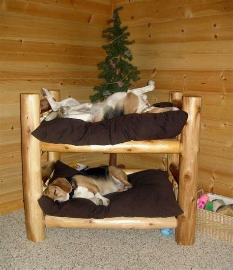 10 Cool Diy Dog Beds You Can Make For Your Baby Dog Bunk Beds Diy