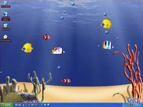 3d Animated Aquarium Wallpaper Wallpapersafari
