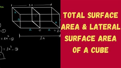 Total Surface Area And Lateral Surface Area Of A Cube Mensuration