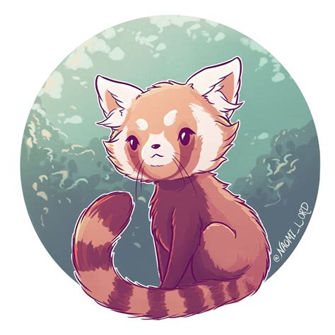How To Draw A Baby Red Panda