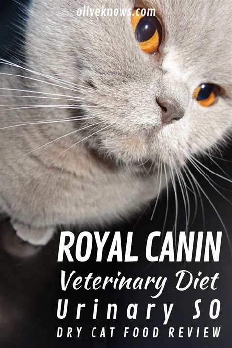 Raw cat food is the closest thing to your cat's biologically appropriate diet. Royal Canin Veterinary Diet Urinary SO Dry Cat Food Review ...