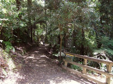 Okere Falls Walk In Rotorua Freewalks Nz