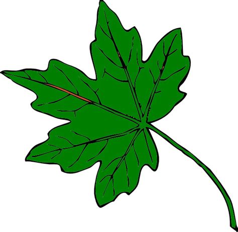 Green Maple Leaf Clip Art At Vector Clip Art Online