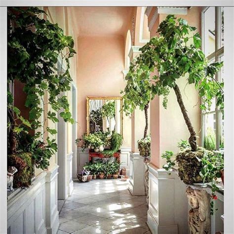 8 Small Indoor Garden Ideas For Fascinating Room Design Talkdecor