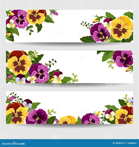 Banners With Colorful Pansy Flowers Vector Illustration Stock Vector
