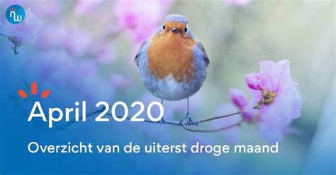 Pranks are best at the bginning of the day when people are still wondering 'what's the date?' as the day progresses, people become conscious and pranks don't work. Klimatologisch maandoverzicht voor april 2020 in de Benelux