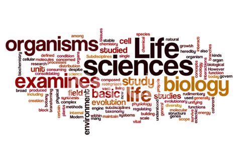 Life Sciences Biology Concept Background Stock Photo Royalty Free