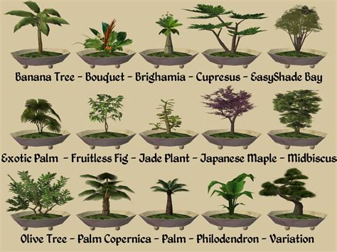 Mod The Sims 15 New Bonsai