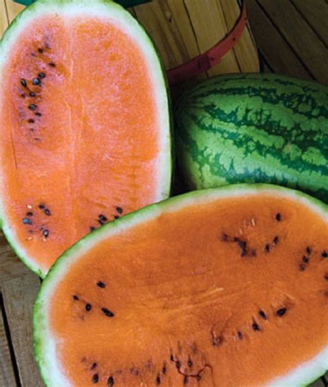 Watermelons Tendersweet Orange Watermelon