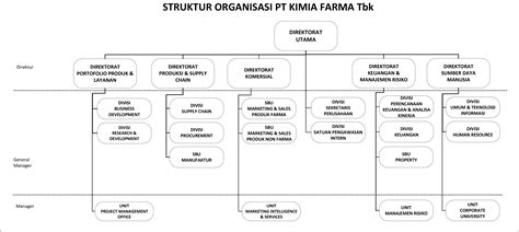 Kimia Farma Struktur Organisasi Perusahaan