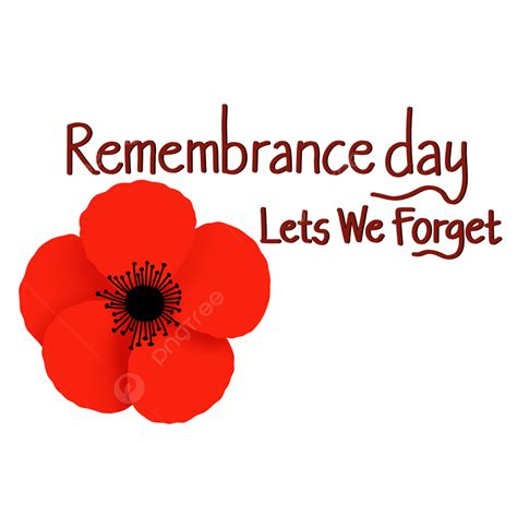 Remembrance Day Remembrance Red Flower International Png Transparent