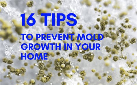 16 Tips To Prevent Mold Growth 10 Is Surprising