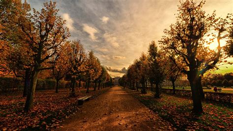 1366x768 Autumn Trees Path 1366x768 Resolution Hd 4k Wallpapers Images