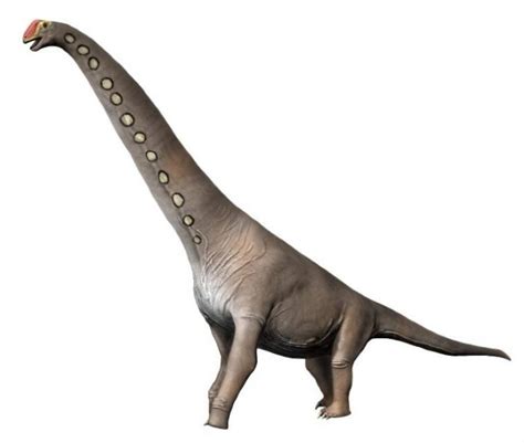 Long Neck Dinosaurs Names And Characteristics Science Trends 2022