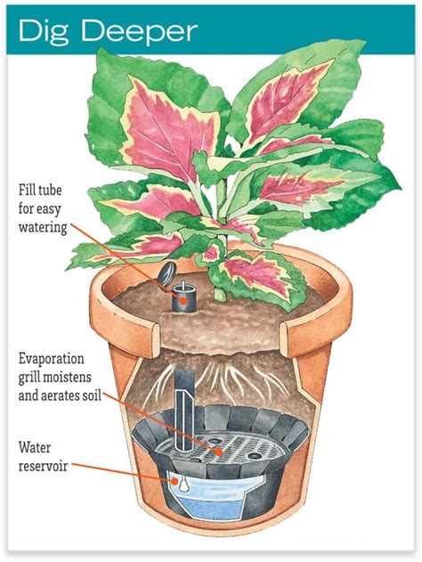 Best 9 Simple Self Watering Planters To Reduce Gardeners Workload Diy