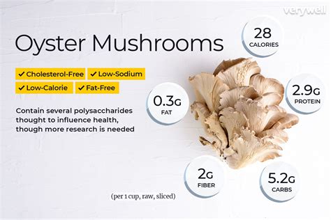 Oyster Mushroom Nutrition Facts and Health Benefits