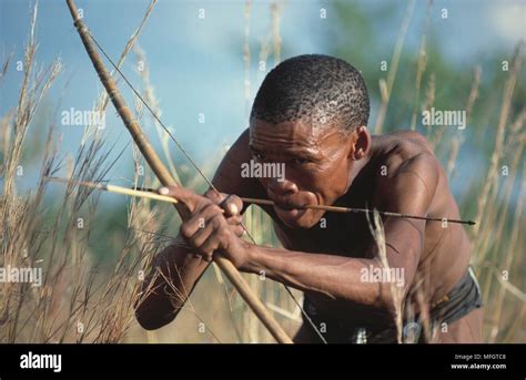 Bushmen Hunting Bow Arrow Bushman Hi Res Stock Photography And Images