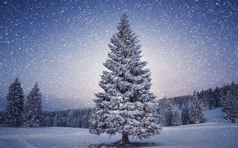 71 Snowy Christmas Backgrounds On Wallpapersafari